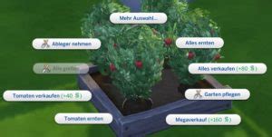 sims 4 tomaten finden.